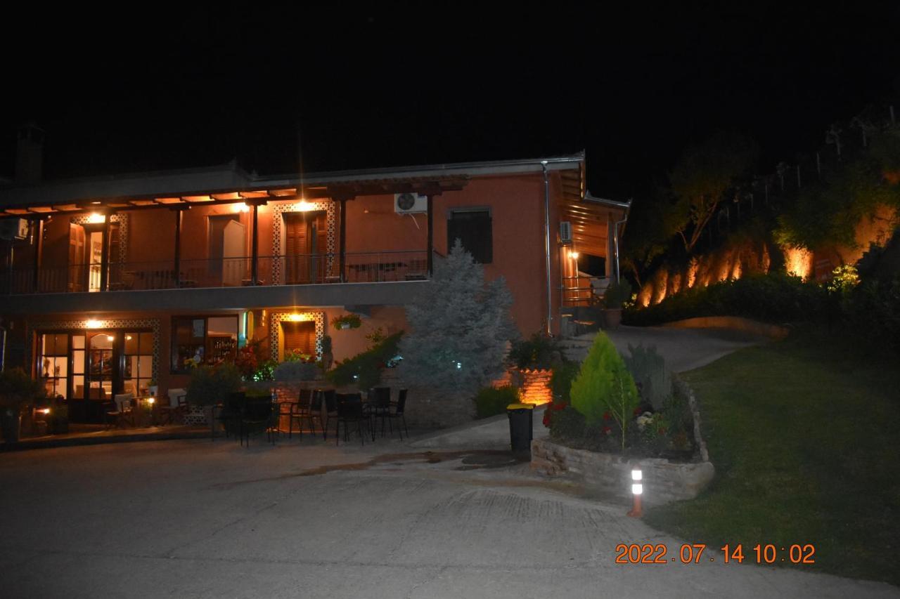 Hotel Meteora Kalambaka Esterno foto