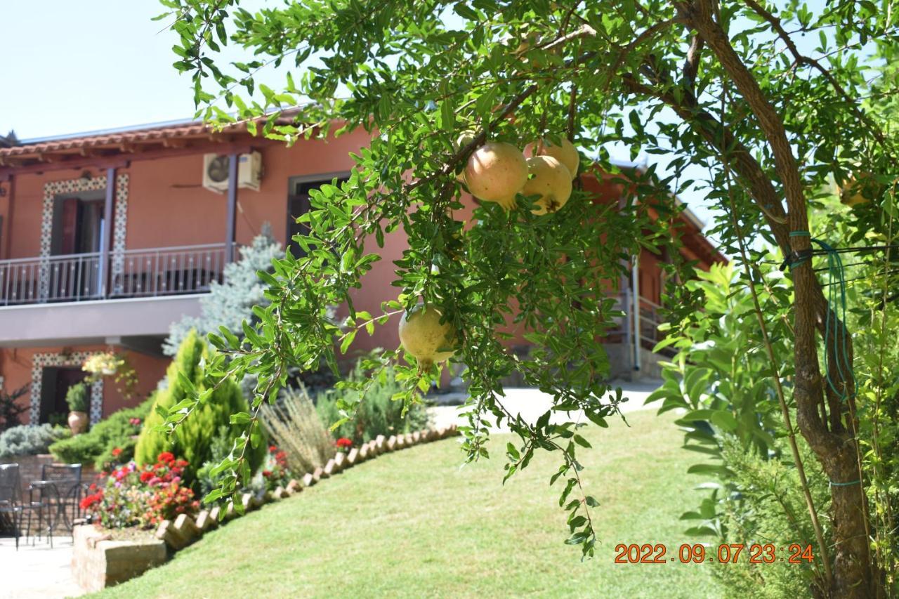 Hotel Meteora Kalambaka Esterno foto