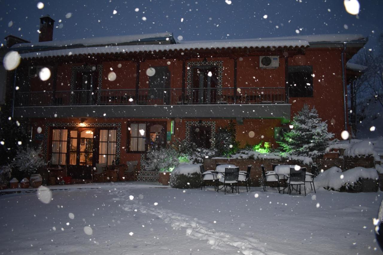 Hotel Meteora Kalambaka Esterno foto